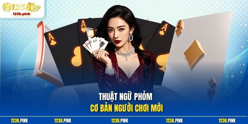 Thuật ngữ Phỏm cơ bản người chơi mới